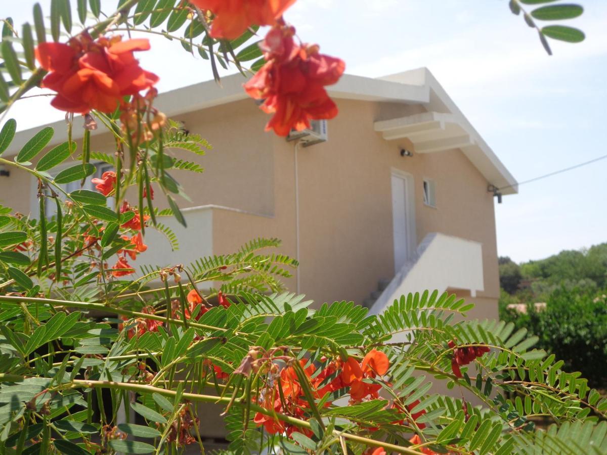 Apartments Pepdjonovic Ulcinj Ngoại thất bức ảnh