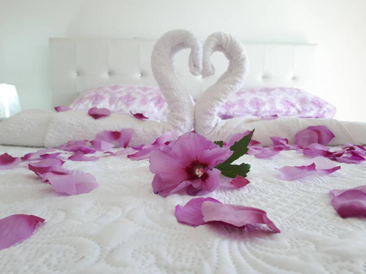 Apartments Pepdjonovic Ulcinj Ngoại thất bức ảnh